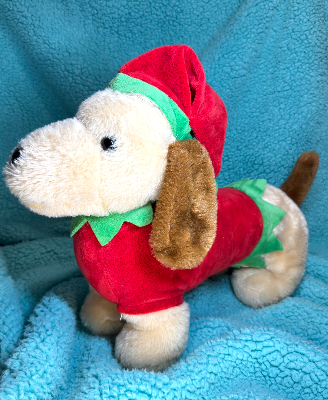 SantaDog