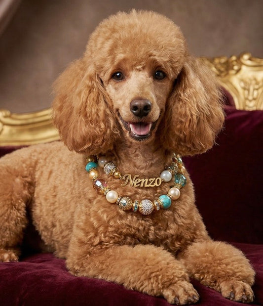 CUSTOMIZABLE BEADED COLLARS