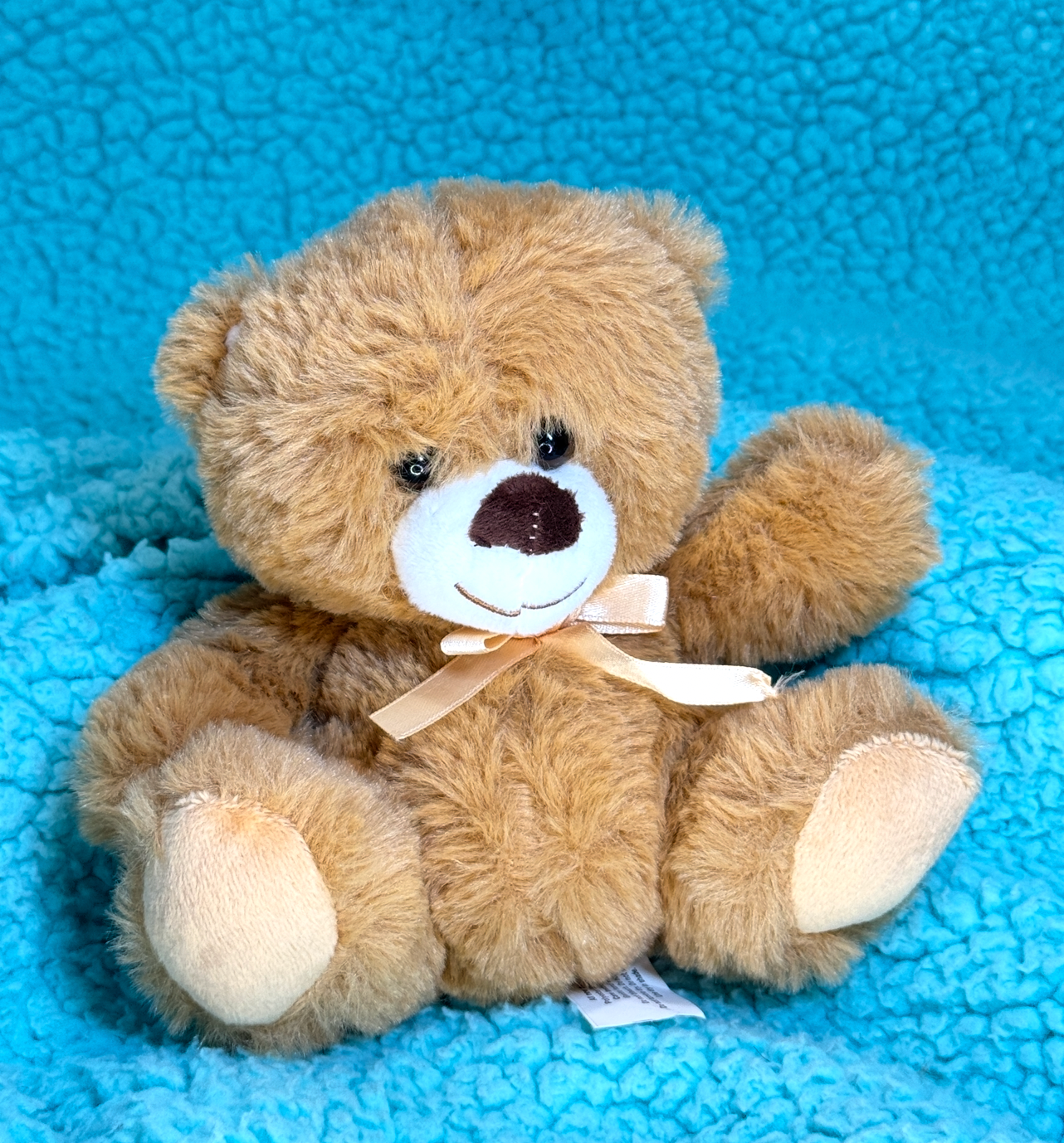 Tedsy