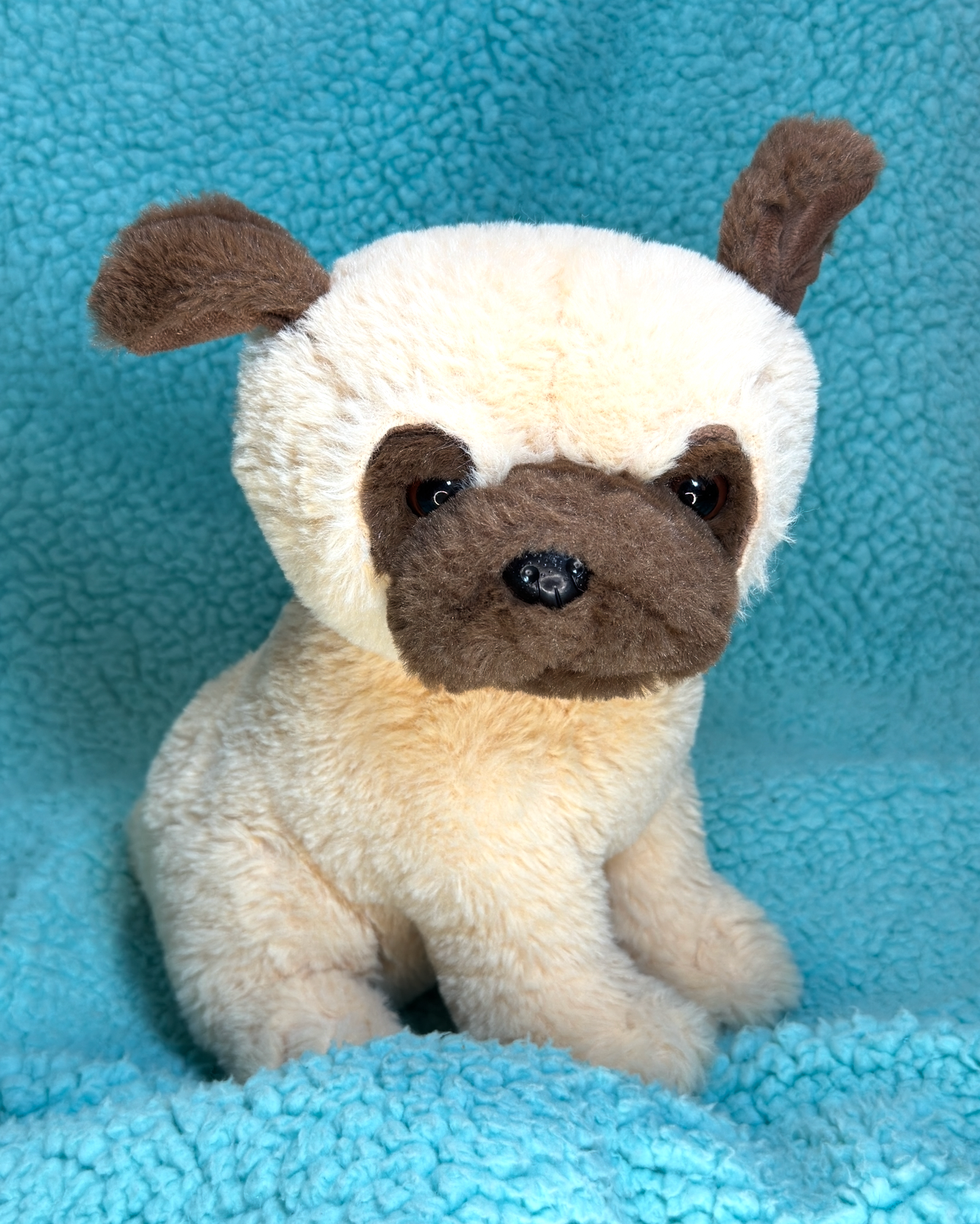 Pug