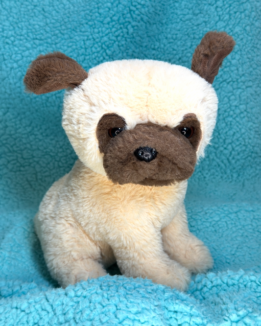 Pug