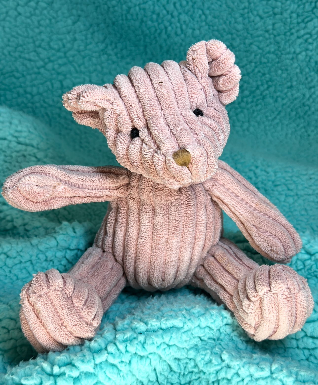 Teddy